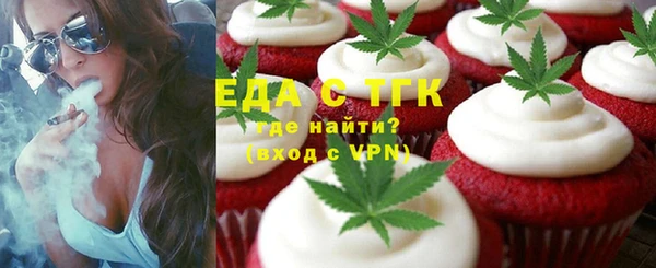 дживик Горняк