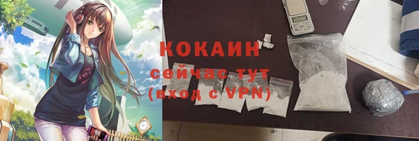 2c-b Горно-Алтайск