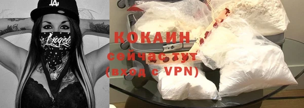 дживик Горняк