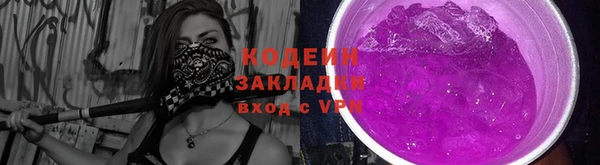 2c-b Горно-Алтайск