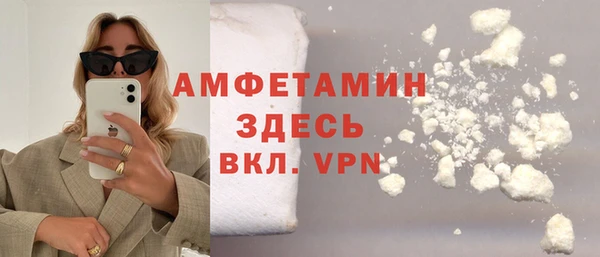 дживик Горняк