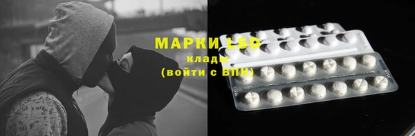 дживик Горняк