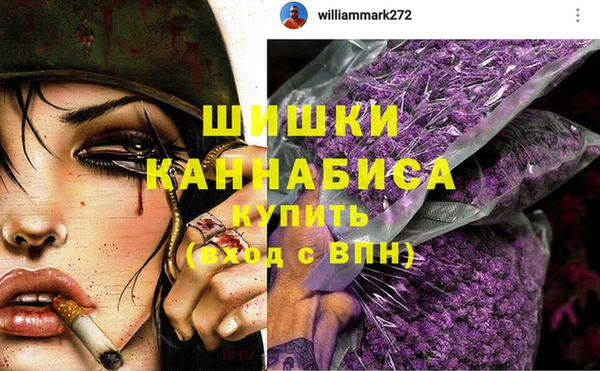 2c-b Горно-Алтайск
