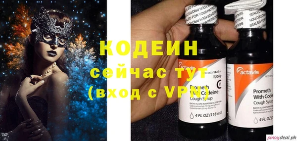 2c-b Горно-Алтайск
