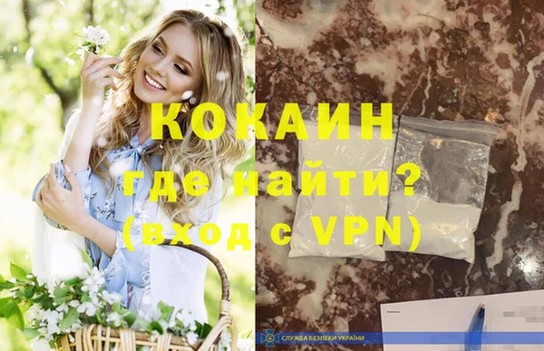 дживик Горняк